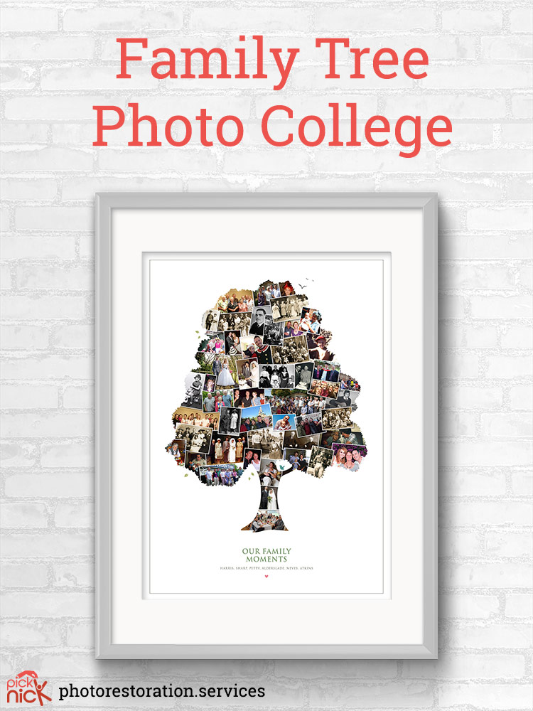 Family Tree Framed Photo Collage